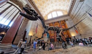 American Museum of Natural History