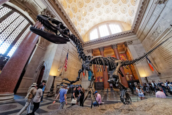 American Museum of Natural History American Museum of Natural History