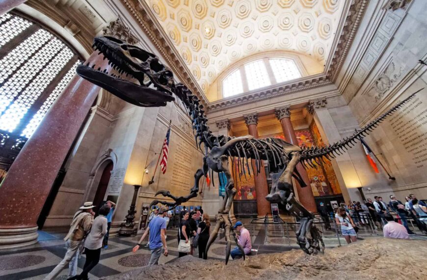 A dinosaur skeleton rearing on its hind legs in the barrel-vaulted rotunda of the American Museum of Natural History, with visitors gathered below