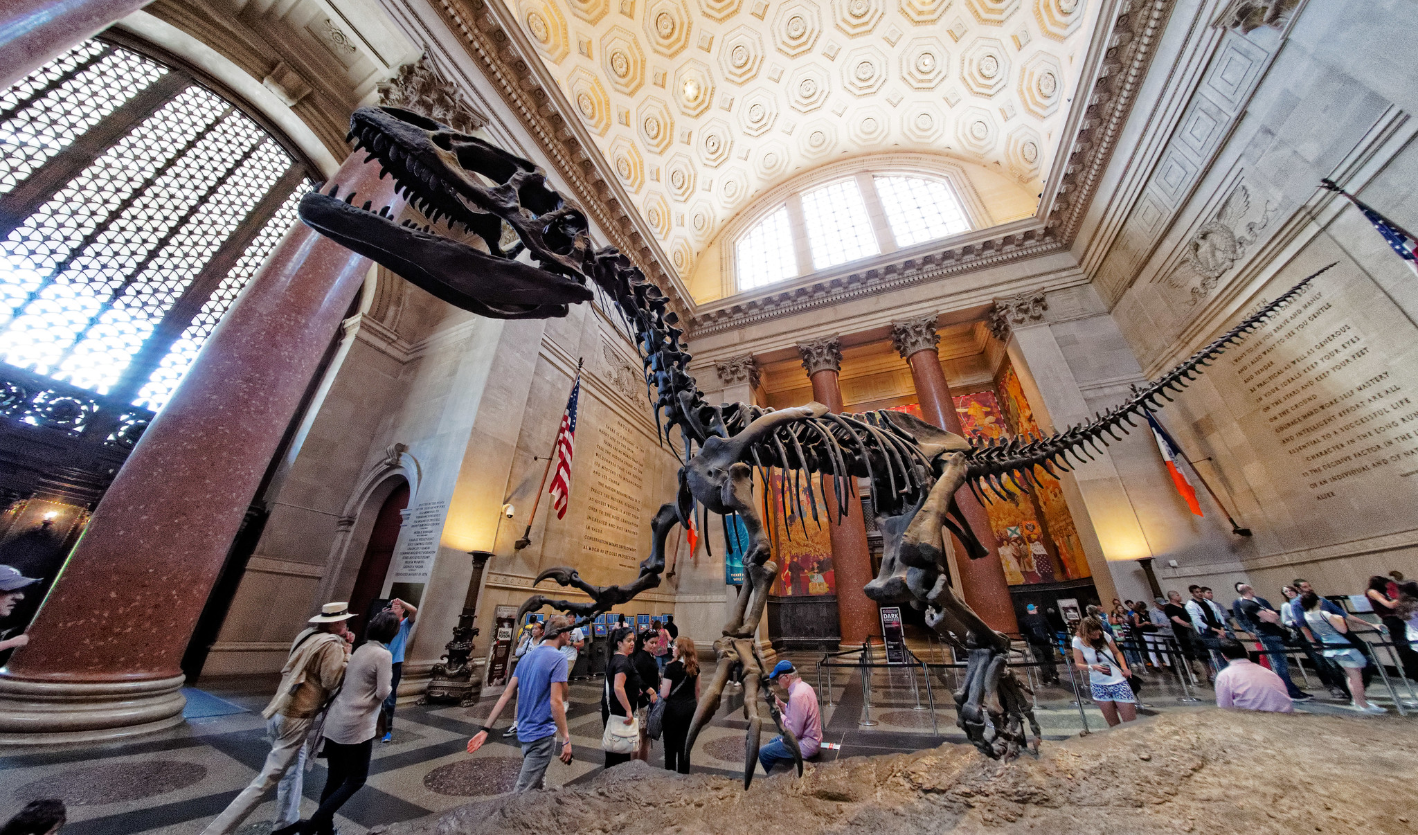 American Museum of Natural History