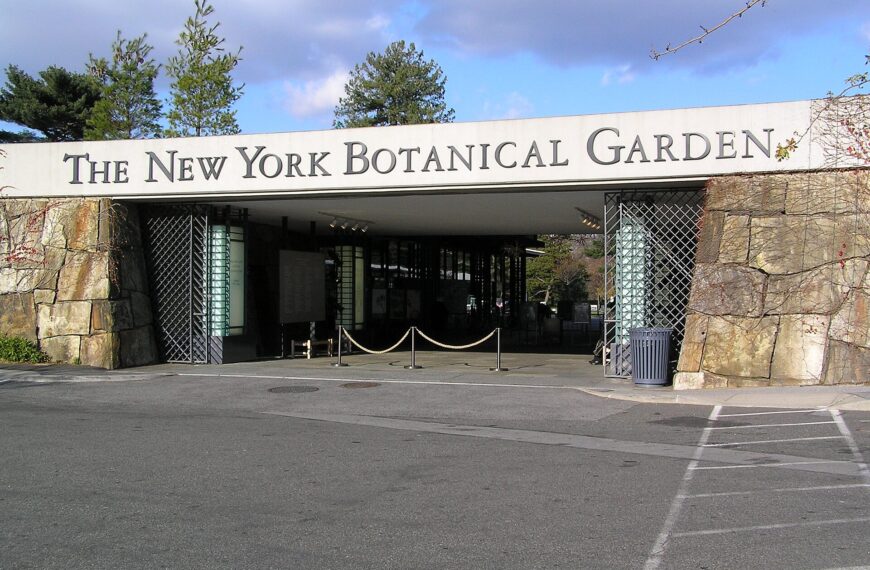 The New York Botanical Garden