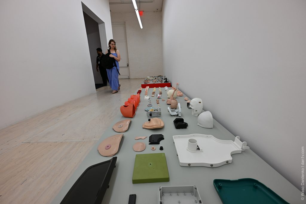 MoMA PS1 — A Hub for Contemporary Art in New York