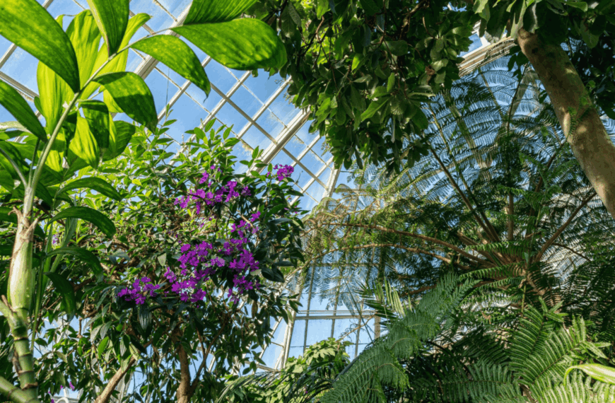 The New York Botanical Garden (NYBG)