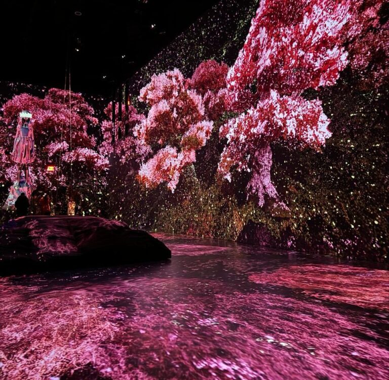 Mercer Labs: The First Immersive Museum of Art and Technology in New York