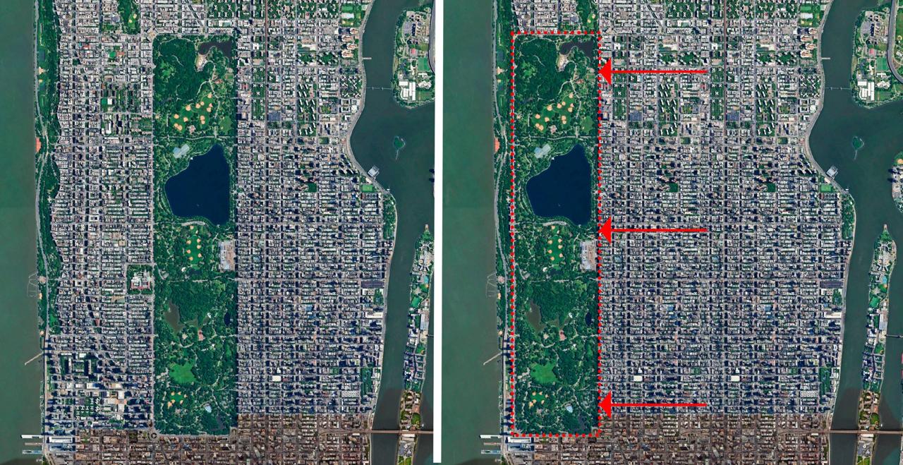 What’s Wrong with Central Park? The Most Absurd Ideas from Twitter