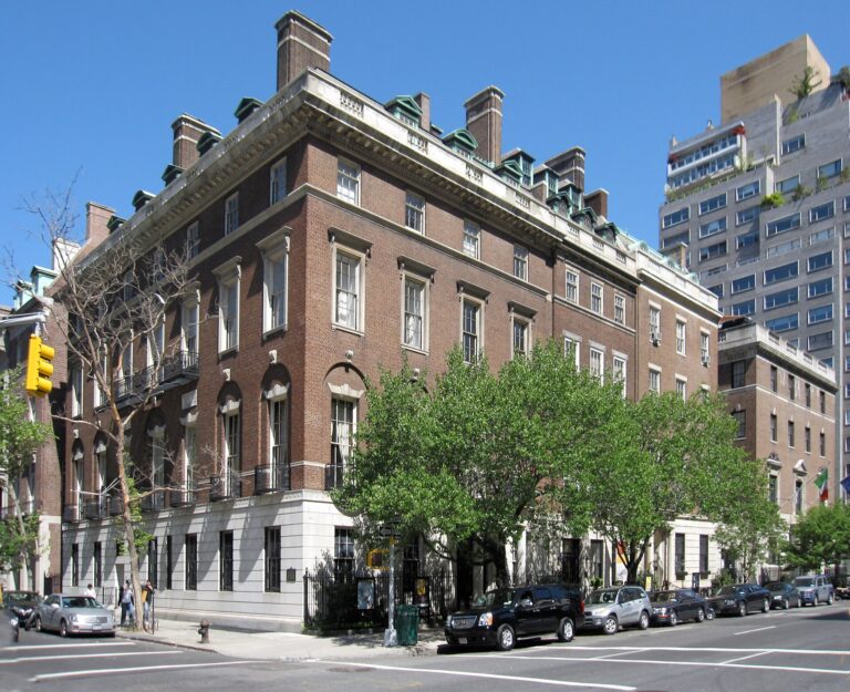 Art at Americas Society in New York