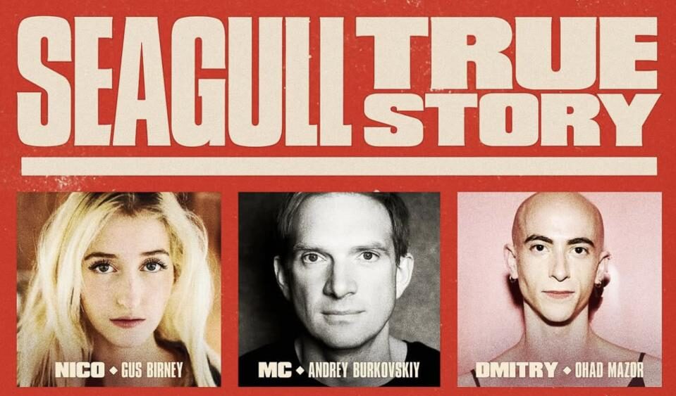 Seagull: True Story in New York