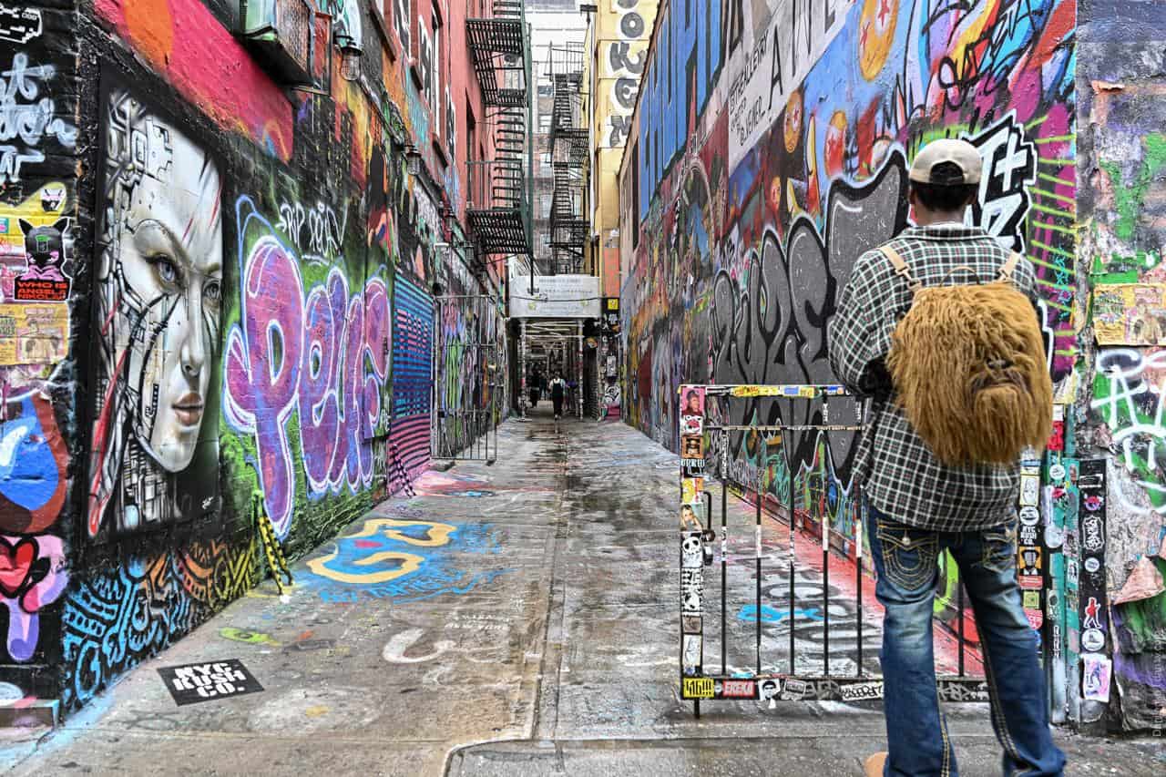 Freeman Alley in New York