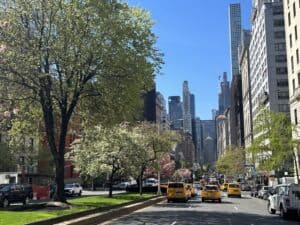 Park Avenue in New York