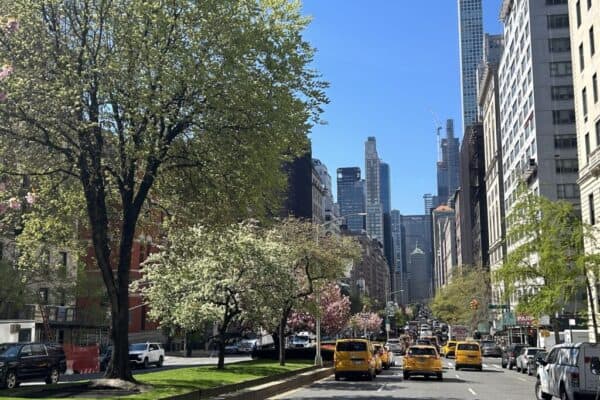 Park Avenue in New York