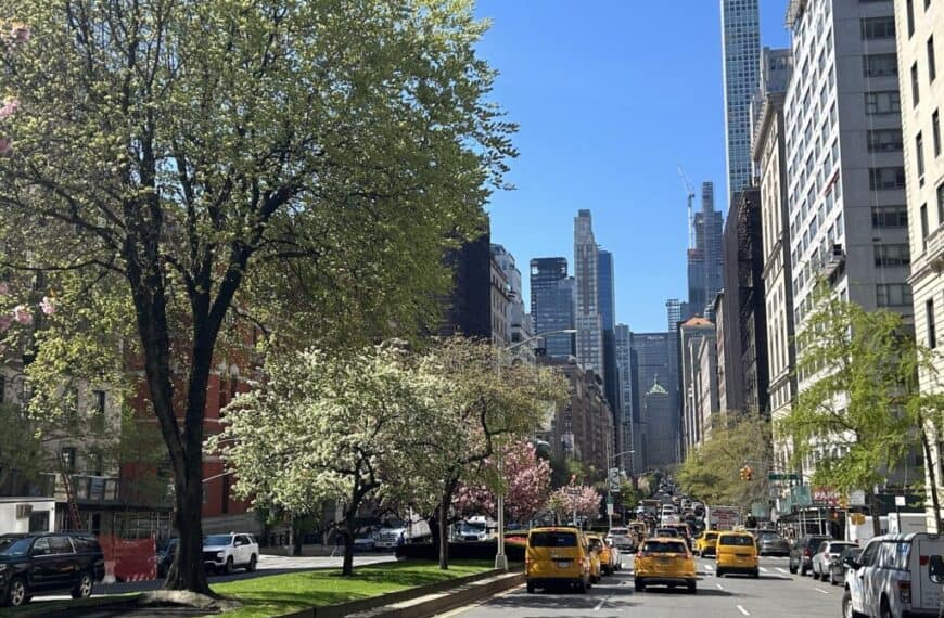 Park Avenue in New York