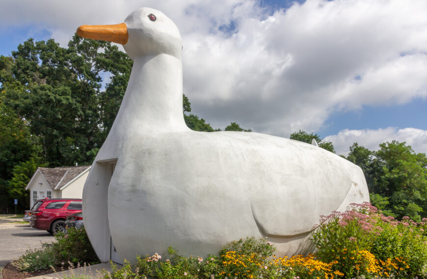 The Big Duck