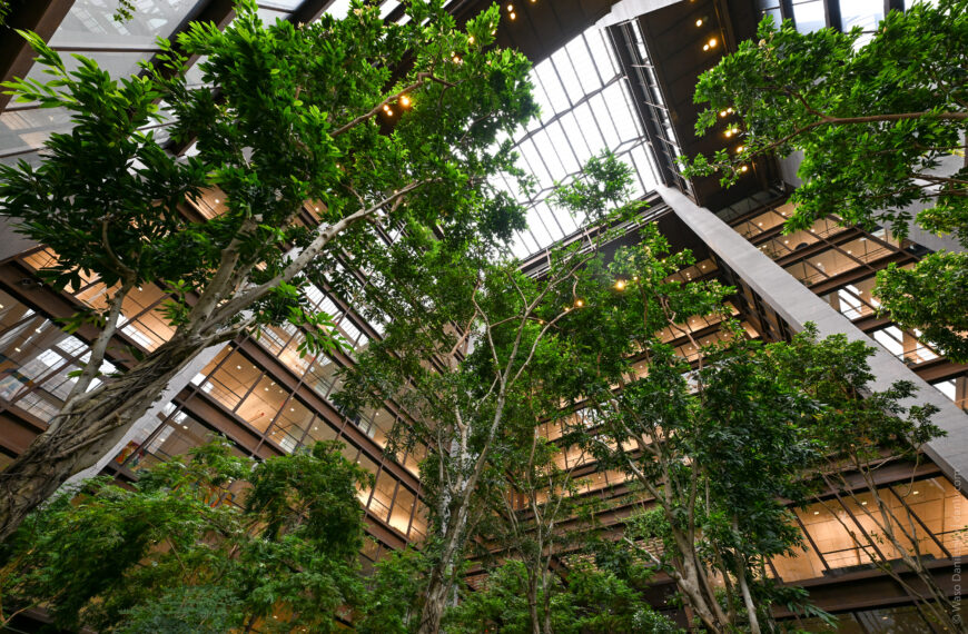 Ford Foundation