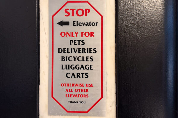 Separate Elevators for Pets in New York City
