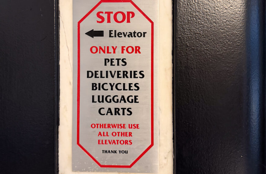 Separate Elevators for Pets in New York City