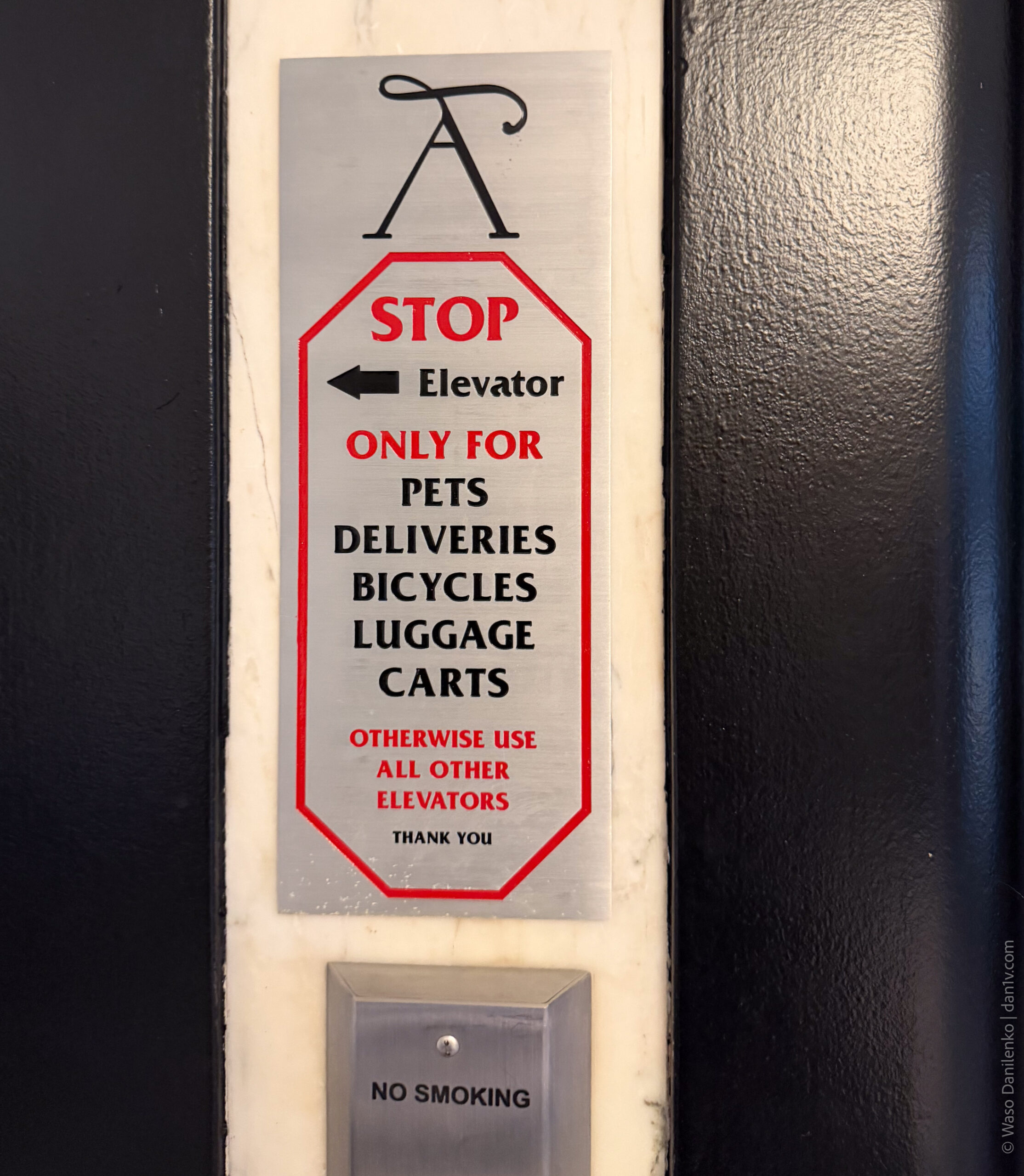Separate Elevators for Pets in New York City